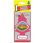 Air Freshener - Morning Fresh