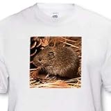 Mouse - Toddler T-Shirt (4T)