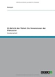 EU-Beitritt der Türkei: Die Dimensionen der Diskussion
