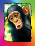 CHIMP Bookmark
