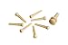 Planet Waves Injected Molded Bridge Pins with End Pin, Set of 7, Ivory