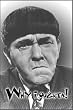 The Three Stooges Why i Oughta! Refrigerator Magnet