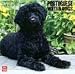 Portuguese Water Dogs 2010 Wall Calendar