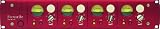 Focusrite Red 1 Classic Quad Microphone Pre-Amplifier