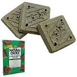 Nutro Natural Choice Large Breed Lamb and Rice Meal Adult Biscuits (23-oz box)