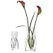 Blomus 68740 Vase Enair