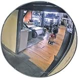 Pro-Safe CV-18 18 Convex Glass I/d Safety/security Mirrors