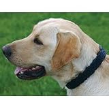 Triple Crown Collar - Blue - Large - 21 in.