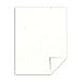 Neenah Stardust Specialty Cardstock, 8.5 X 11 Inches, White, 100 Count (2240)