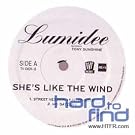 She's Like the Wind