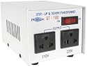 110/220 VAC 100W Converter