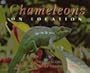 Chameleons: On Location