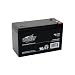 Interstate Batteries 12V 7.2Ah Sealed Batter IBSBSL1075
