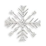 Snowflake Fashion