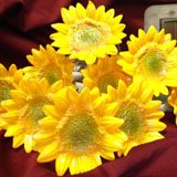 Solar Powered Yellow Sun Flower String Solar Light