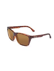 Bolle Damone (TLB Dark, Dark Tortoise) by
