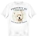 West Highland Terrier Westie Property Of Adult T Shirt - MEDIUM