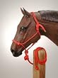 Tied Rope Halter with 10' Lead