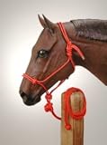 Tied Rope Halter with 10' Lead