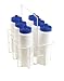 Champion Sports Wire Water Bottle Carrier