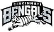 Cincinnati Bengals Silver Auto Emblem - Football Sports Merchandise