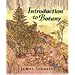 Introduction to Botany (Agriculture S.)