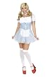 Sexy Dorothy Costume Dress Offered HERE WITH UNDERSKIRT/Petticoat (stockings sold separately)