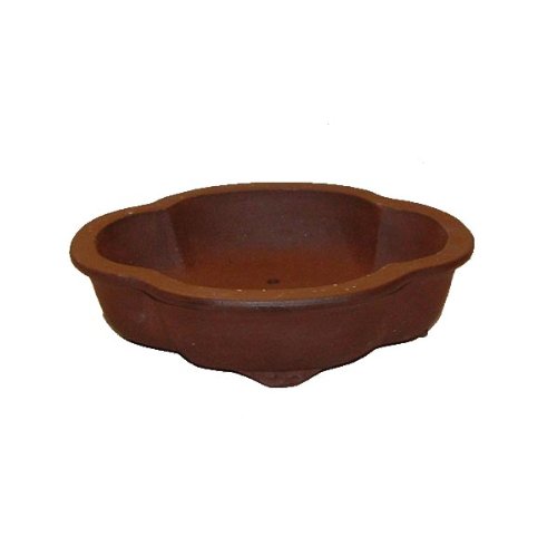 21cm Unglazed Cloud Shaped Bonsai Pot