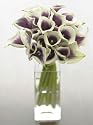 20 Stem Vermeer Calla Lilies