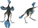 Carnegie Collection Caudipteryx