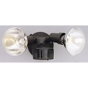 Distressed Bronze Security Motion Detector by 