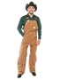 Carhartt Quilt Lined Duck Bib Overall in Brown