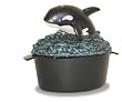 Orca Steamer