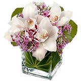 Flowers - Magnum Opus