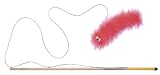 West Paw Design Kitty Lure Caster Fishing Pole Cat Toy with Feather Bait, Assorted