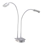 Eternity Double Gooseneck LED Desk Lamp