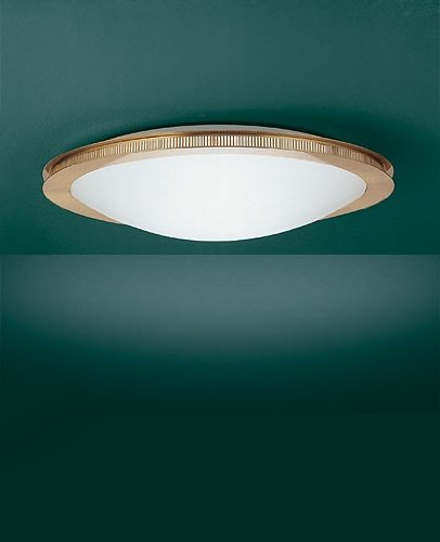 T-9034 ceiling light