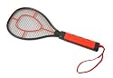 The GotchaTM Fly Swat Wasp Bug Mosquito Swatter Zapper