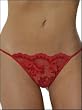 Sex Kitten Crotchless Thong Panty