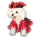 maltese48 - Pirate Princess S