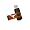 Texas Longhorns