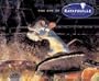 The Art of Ratatouille