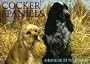 Cocker Spaniels (For the Love of)