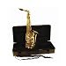 Musical Instruments : Roy Benson BAS-101 Alto Saxophone Kit