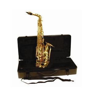 Roy Benson BAS-101 Alto Saxophone Kit On Sale