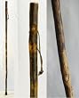Free Form Hickory Walking Stick