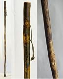 Free Form Hickory Walking Stick