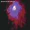 An Unusual Porcupine Tree Selection