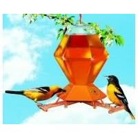 Hex Oriole Feeder w Bee Guards 36 oz by Perky Pet