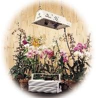 400 Watt MH SunSystem I Super Sun Plant Grow Light